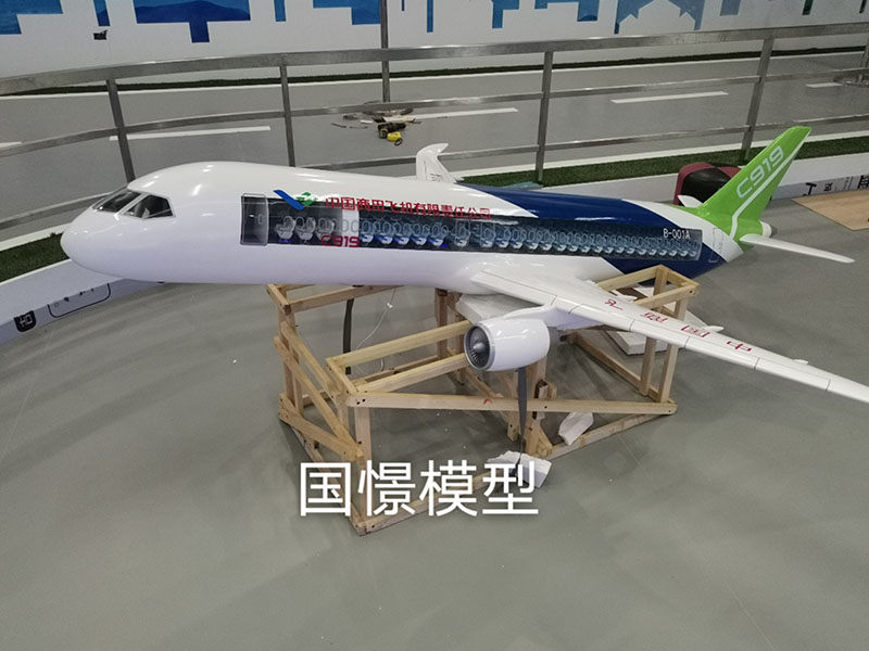 高安市飞机模型